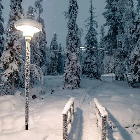 Oloslaavu B 7, Olos
